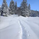 Panoramablick 아파트