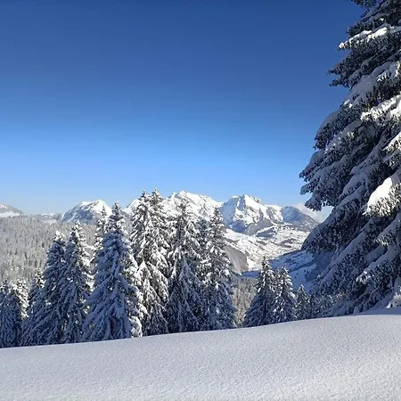 Panoramablick Amden