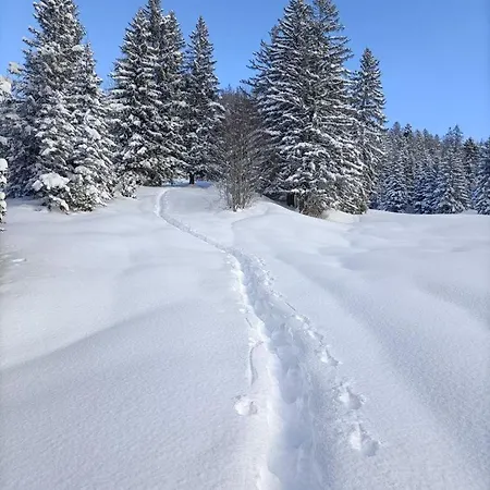 Panoramablick Apartman