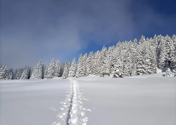 Appartement Panoramablick Amden