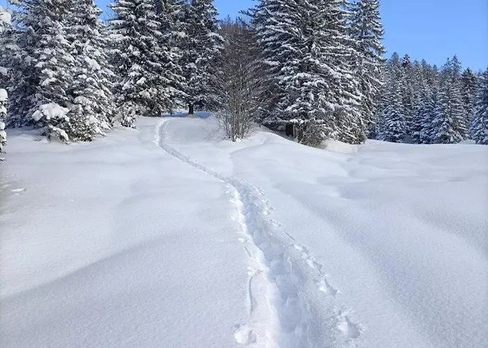 Panoramablick Appartement