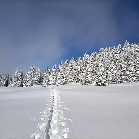 Apartmán Panoramablick Amden