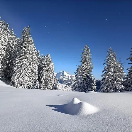 Panoramablick