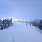 Panoramablick *