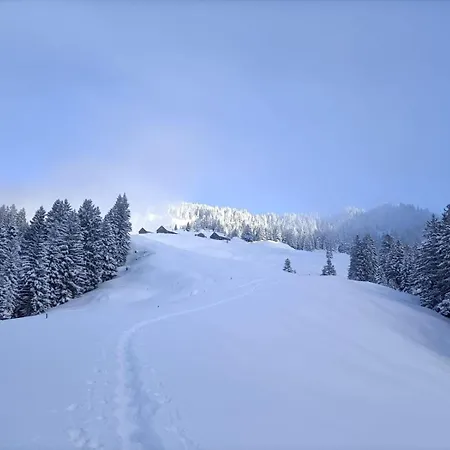 Panoramablick *