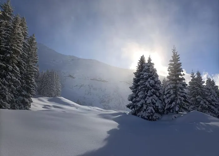 Panoramablick * Amden